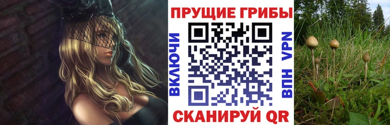 Галлюциногенные грибы Magic Shrooms  Хотьково 