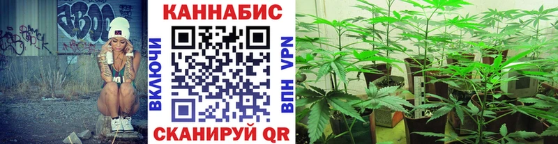 кракен маркетплейс  Хотьково  Конопля конопля 